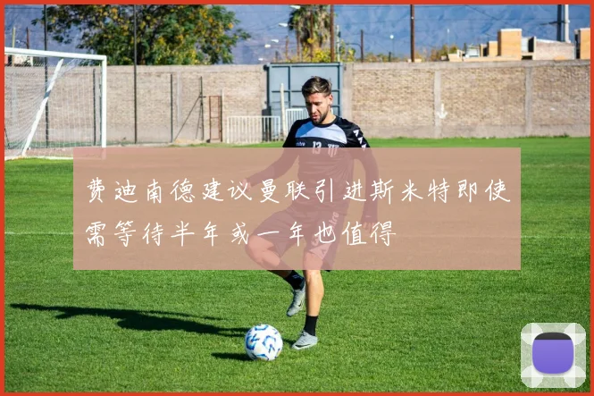 费迪南德建议曼联引进斯米特即使需等待半年或一年也值得